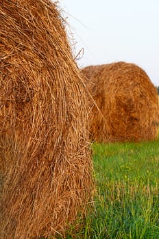 The haystack against the sky. Haymaking time.