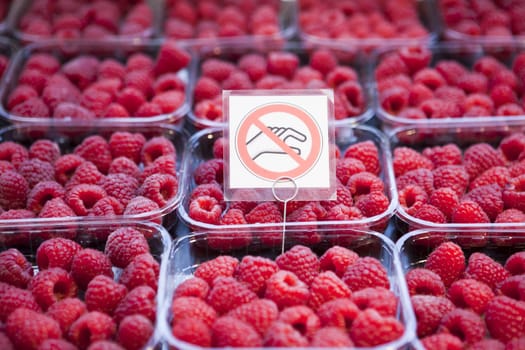 Fresh juicy raspberry on the market.