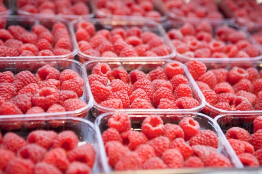 Fresh juicy raspberry on the market.