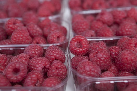 Fresh juicy raspberry on the market.