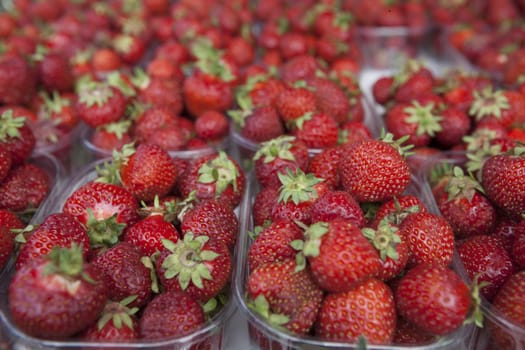 Fresh juicy strawberry on the market.