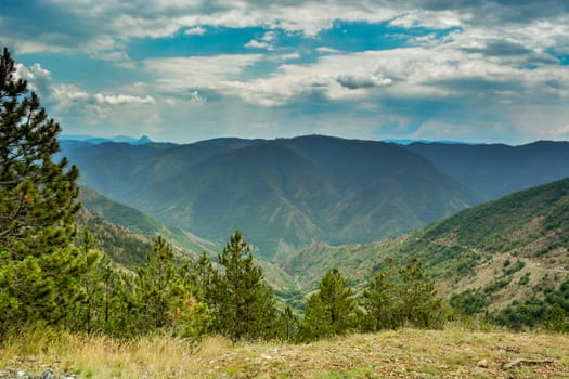 Mountains in central Serbia with grassland and coniferous forest