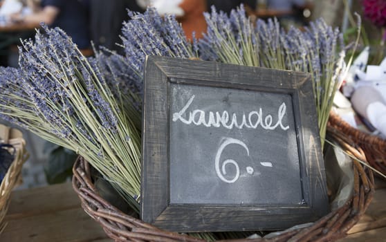 Bouquet of fresh lavender in a basket.