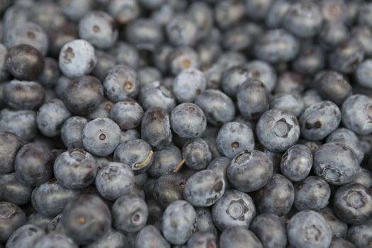 Fresh juicy  blueberries on the market.