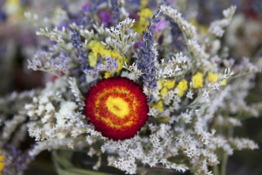 Beautiful bouquet of dried flowers with blurred background.