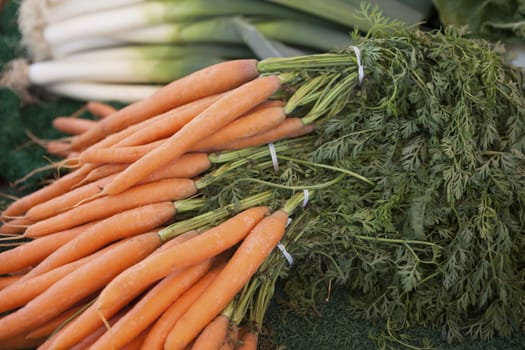 Fresh clean carrots with foliage on the market.