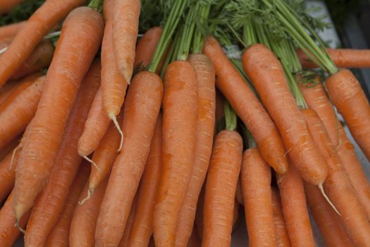 Fresh clean carrots with foliage on the market.