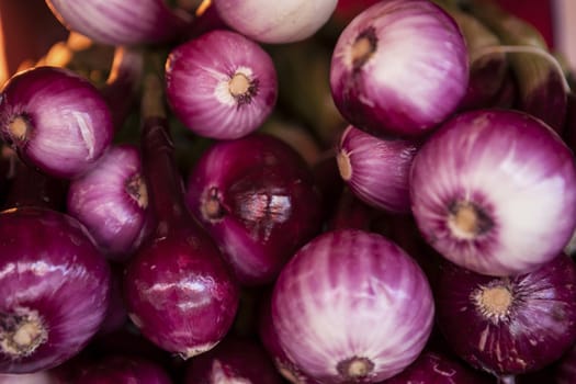 Fresh clean  onion on the market.