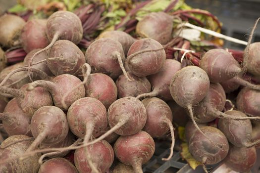 Fresh clean  beet on the market.