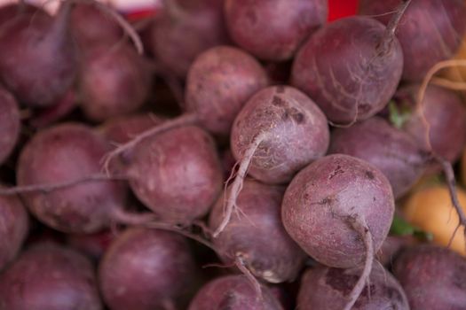 Fresh clean  beet on the market.