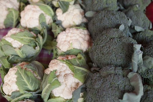 Fresh vegetables Brussels sprouts  farmers market in Finland.