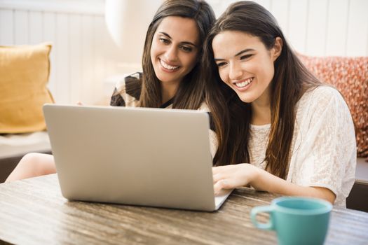 Female friends studying at the local coffee shop