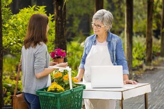 Mature women working in a flower shop and talking with a customer