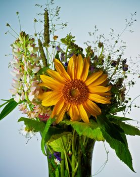 Bouquet of Wildflowers and Various Grasses with Big Sunflower and Pink Lupines closeup on Blue Toned background