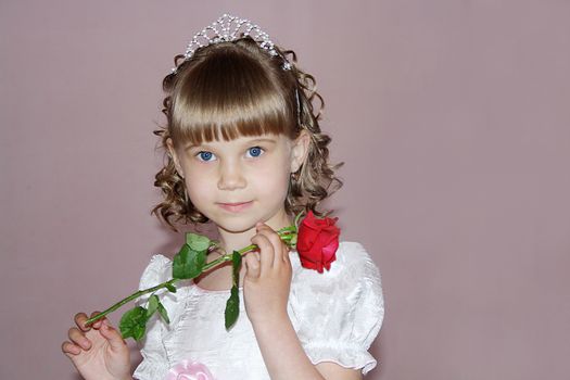 beautiful blond little girl with red rose held in hands