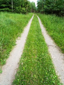 Forest Road