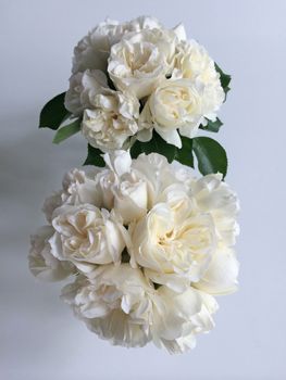 Two bouquets of white tea roses