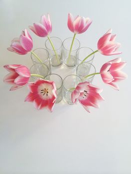 Pink and white tulips in vases