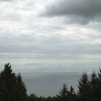 Tree tops and ocean view