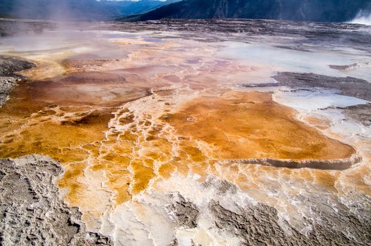 Thermal pools of Mammoth Hot Springs Yellowstone National Park