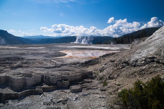 Thermal terraces of Mammoth Hot Springs Yellowstone National Park