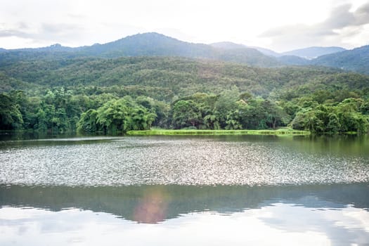 Spring forest is reflected in the river .