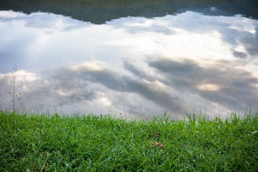 green grass and sky reflected in the river .