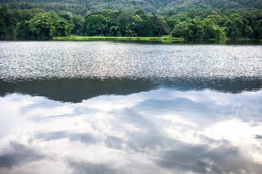 Spring forest is reflected in the river .