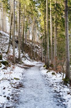 Frozen path at lake Weissensee in Bavaria, Germany in winter