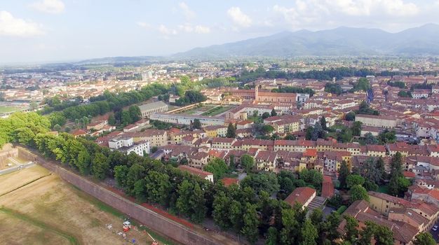 Aerial view of Lucca, ancient town of Tuscany.