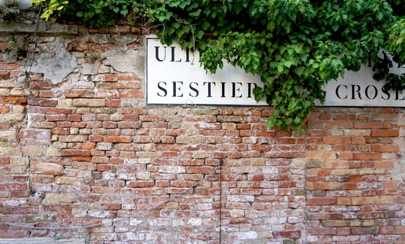 decay brick wall texture and plant in Venice, Italy
