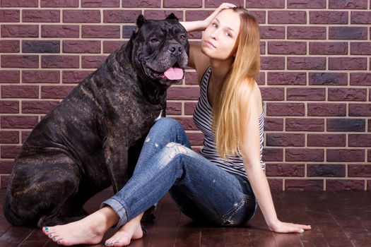 Girl in jeans and t-shirt sitting near the wall and hugging a big dog Cane Corso