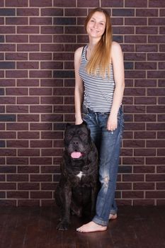 girl in jeans and shirt standing near the wall and hugging a big dog Cane Corso