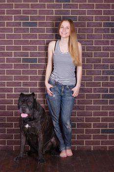 girl in jeans and shirt standing near the wall and hugging  big dog Cane Corso