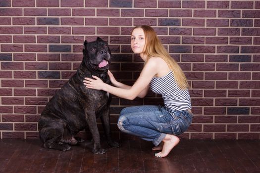 The girl in jeans and a t-shirt and sat down near the wall hugging a big dog Cane Corso