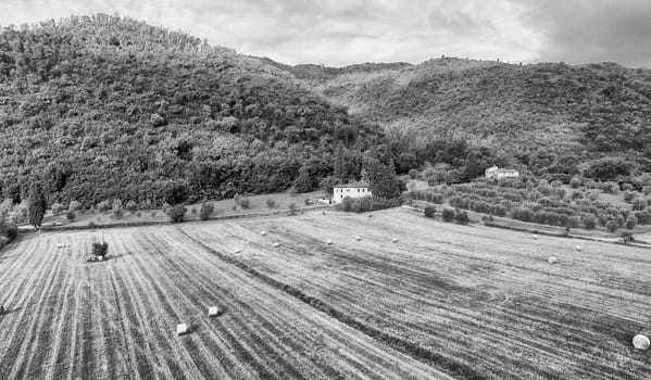 Wheat bales, beautiful aerial view.