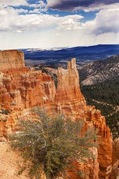 Hoodoos Bryce Point Bryce Canyon National Park Utah 