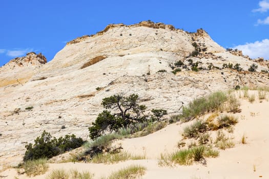 White Sandstone Mountain Near Bryce Canyon National Park Utah 