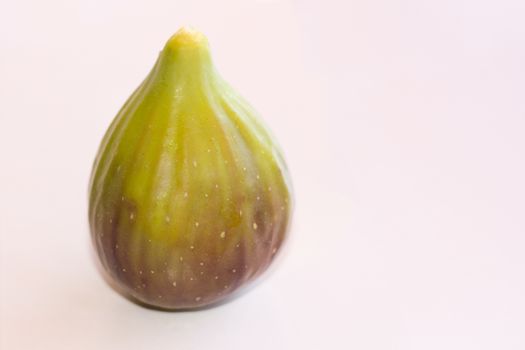One mature fig on a white background.