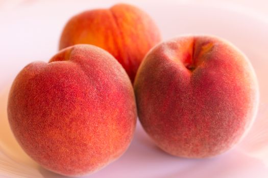 Three mature peaches on a white background.