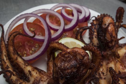 fried octopus served with tomatoes and onion