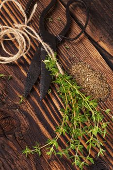 Fresh and dry marjoram herb with vintage scissors on rustic wooden background. Culinary aromatic herbs.
