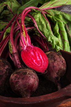 Beet root in wooden bowl. Seasonal vegetable harvest. Healthy eating. 