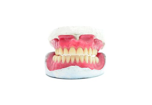 human wax dental teeth mold isolated on white