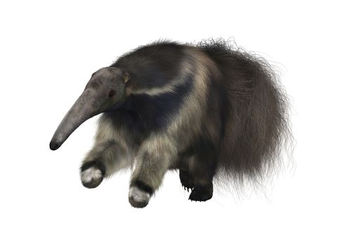 3D digital render of a giant anteater running isolated on white background