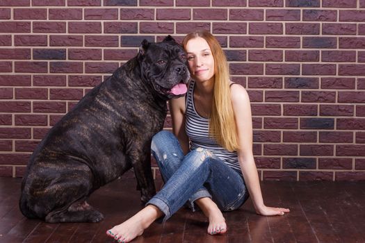 girl sitting near the brick wall next to the dog Cane Corso