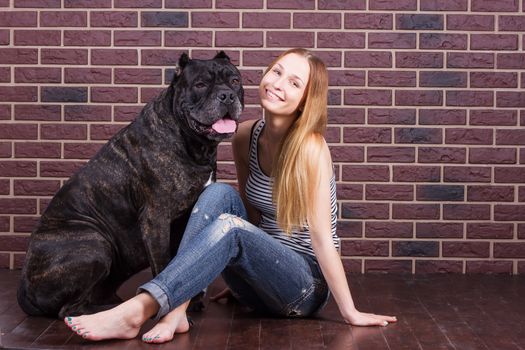 girl sitting near the brick wall next to the dog Cane Corso and she tilted her head