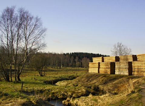 stock planks under the open sky and landscape with forest in background