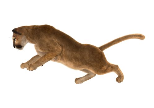 3D digital render of a big cat puma climbing isolated on white background