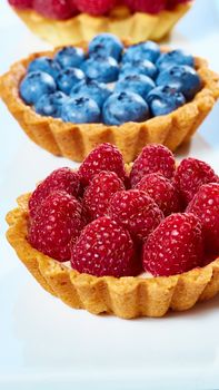 fruit tartlets with raspberries and blueberries. with copy space